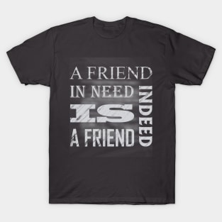 A Friend In Need Is A Friend Indeed, Gift For Friend, Best Friend Quotes Gift T-Shirt